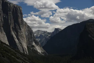 DSC_4326 (Large).JPG